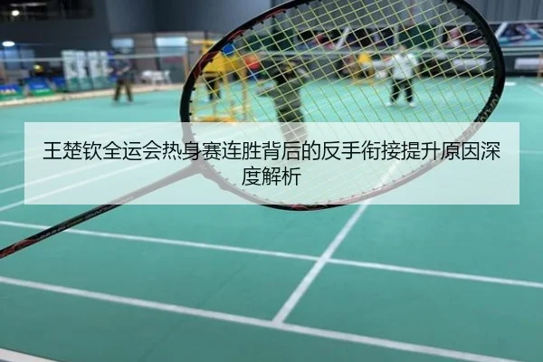 王楚钦全运会热身赛连胜背后的反手衔接提升原因深度解析